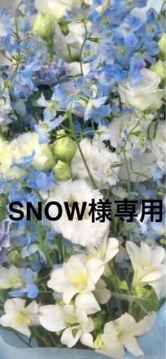 SNOW様専用　2苗のサムネイル