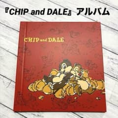 디즈니 포토 앨범 사진 넣기 [CHIP and DALE] 앨범