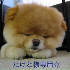 たけと様専用ページのサムネイル