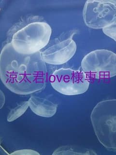 専用です！のサムネイル