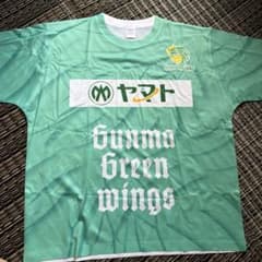 【新品・未使用品】 群馬グリーンウイングス　バレーボールチームのサムネイル