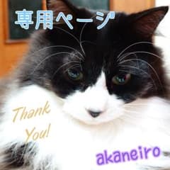 おにゃんこぽん様　命名札　10枚　押絵有のサムネイル