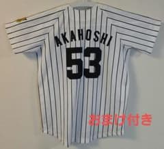 阪神タイガース 赤星憲広 ユニフォーム 53 Lサイズ - メルカリ