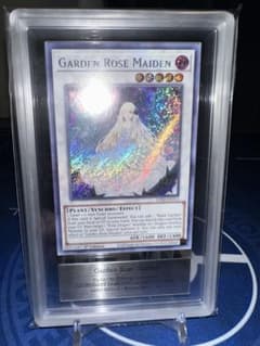 【遊戯王】北米版 英語 コレクション 鑑定品 遊戯王 創世神/レリーフ/英語/1st/北米版 – カードショップ グローバル