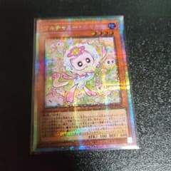 マルチャミーニャルス プリシクのサムネイル