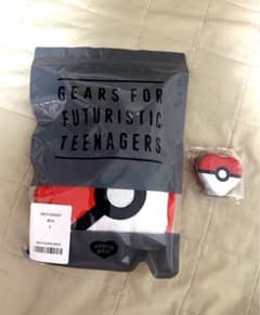 POKEMON MADE HEART STUFFED PASSCASEのサムネイル