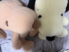 スヌーピー　スーパーラージぬいぐるみもこふわセットのサムネイル