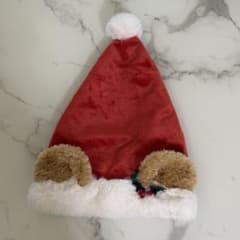 ダッフィー クリスマス 帽子 サンタ ファンキャップ 被り物 ディズニーのサムネイル