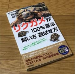 リクガメが100%喜ぶ飼い方 遊ばせ方のサムネイル