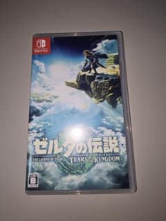 젤다의 전설 티어즈 오브 더 킹덤 Switch 소프트