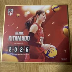 バレーボール女子日本代表 北窓絢音 トレーディングmini色紙のサムネイル