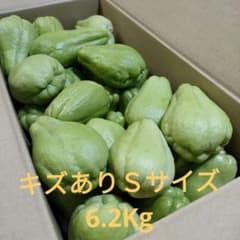 ⭐訳あり 無農薬 はやとうり ハヤトウリ 6.2K 福島県産 211 - メルカリ