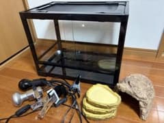 最終値下げ】爬虫類飼育セット（爬虫類飼育ガラスケージセット 