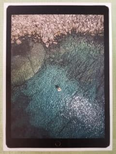 ipad pro 2 12.9 64GBのサムネイル
