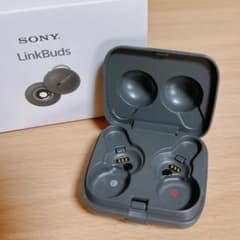 【ケースのみ】ソニー ワイヤレスイヤホン LinkBuds WF-L900のサムネイル