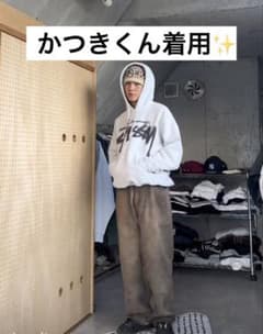 STUSSY グレー パーカーのサムネイル