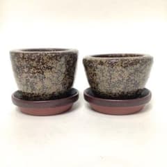【未使用品】陶器 植木鉢 2個セット 受け皿付き ミニ鉢 盆栽鉢のサムネイル