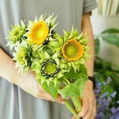 スリーブ　ひまわりフィーバー　陽炎ひまわり　未開封　希少 スリーブ】サークル「ひまわりフィーバー」コミケ86新作 東方