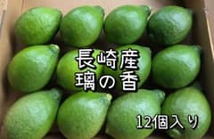 96 長崎産璃の香　国産グリーンレモン　家庭用コンパクト　12個入りのサムネイル