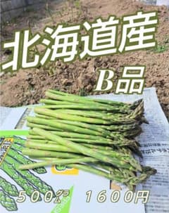 北海道産B品アスパラ　サイズ不揃い５００㌘のサムネイル