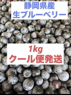 【静岡県産・無農薬】生ブルーベリー 1kg クール便のサムネイル