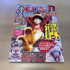 ONE PIECE magazine Vol.20 付録カード付 - メルカリ