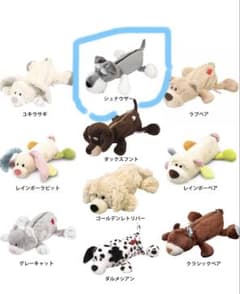 NICI シュナウザー　筆箱　ぬいぐるみ　ニキのサムネイル