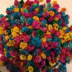 かすみ草 ドライフラワー濃い色MIXお得のサムネイル