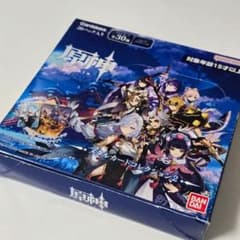柳*仁様 原神 メタルカードコレクション2