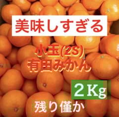 327)美味しすぎる 小玉 有田みかん 和歌山県有田産 みかん 果物 - メルカリ