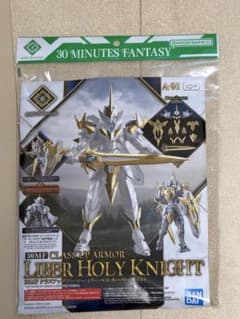 30MF クラスアップアーマー リーベルホーリーナイト