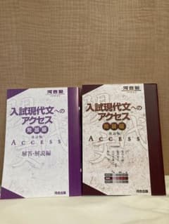入試現代文へのアクセス 発展編のサムネイル