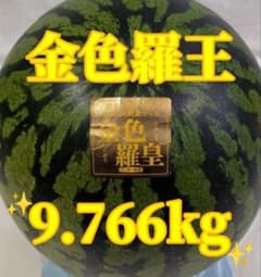 684匿名発送！千葉県産　金色羅皇スイカ　高糖度　9.766kg１玉のサムネイル
