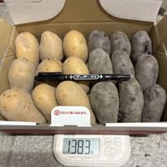 じゃがいも　2種　種芋　サイズ　自然栽培　(15)1383 gのサムネイル