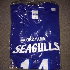 岡山シーガルズ 宮下遥選手 バレーTシャツのサムネイル