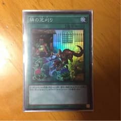遊戯王  隣の芝刈りのサムネイル