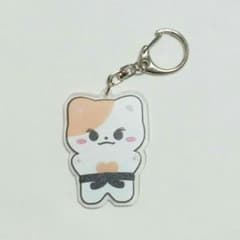 ENHYPEN キャラクターアクリルキーホルダー ジョンウォン - メルカリ
