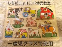 木製パズル　ボーネルンド　しちだ　家庭保育のサムネイル