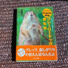 プレーリードッグのき・も・ちのサムネイル