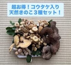 【超お得】 コウタケ入り 天然きのこ３種セット 送料込み！のサムネイル