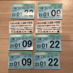 テニスパパ様専用　平谷高原　ひまわりの湯のチケットのサムネイル