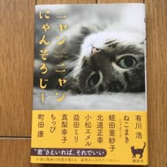 ニャンニャンにゃんそろじーのサムネイル