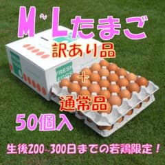 12/3発送【訳あり品+通常品混合】M~L50個のサムネイル