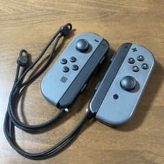 Nintendo Switch Joy-Con グレー 左右セット - メルカリ