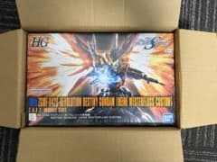 HG 1/144 デスティニーガンダム ハイネ専用機 ガンプラのサムネイル