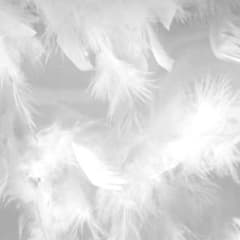 ネパール産 ヒマラヤ 水晶 虹入り スモーキー クォーツ フリーカット