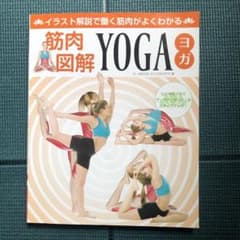 筋肉図解YOGA イラスト解説で働く筋肉がよくわかるのサムネイル