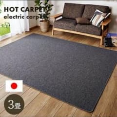 ♡﻿m♡﻿様専用 ホットカーペット3畳用のサムネイル