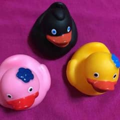 お風呂のアヒルのサムネイル