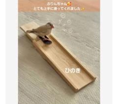 20⭐　滑り台大サイズ‼　 バードトイ　インコ　文鳥　スケボー 20⭐ 滑り台大サイズ‼ バードトイ インコ 文鳥 スケボー - メルカリ